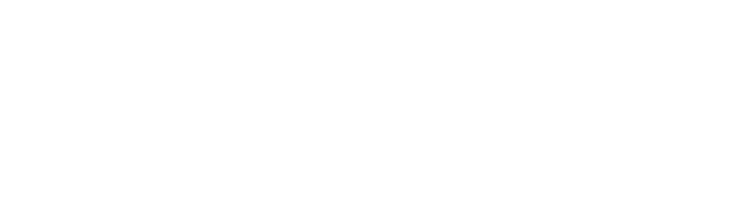 BOLD Logo